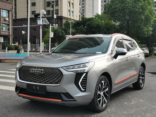 Haval First Love 2021 1.5T Automatic Big Three Edition