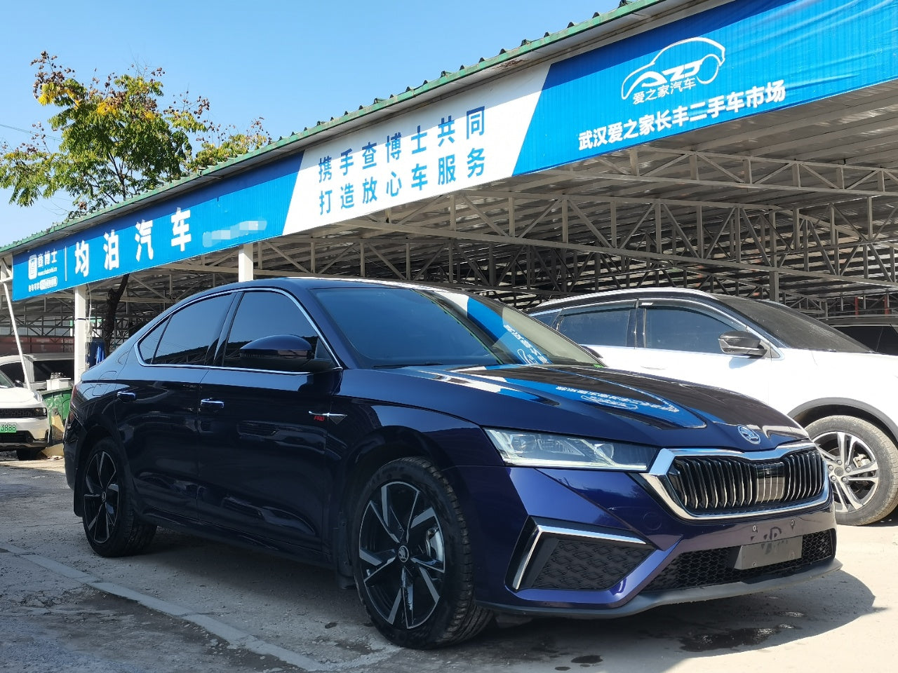 Skoda Octavia 2021 вид сбоку