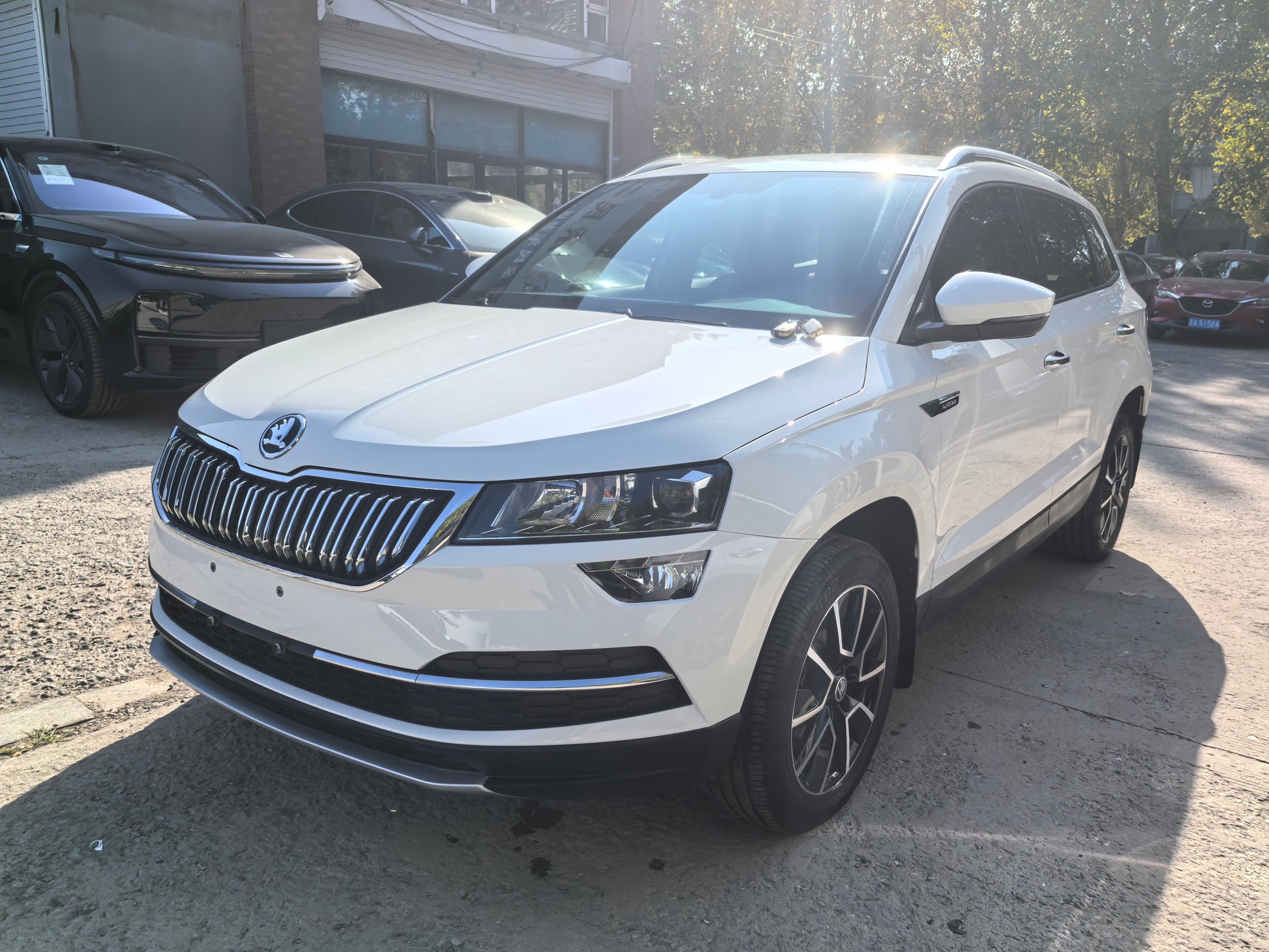 Боковой вид Skoda Karoq 2021