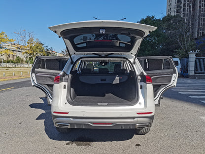 Haval H6, вид сзади