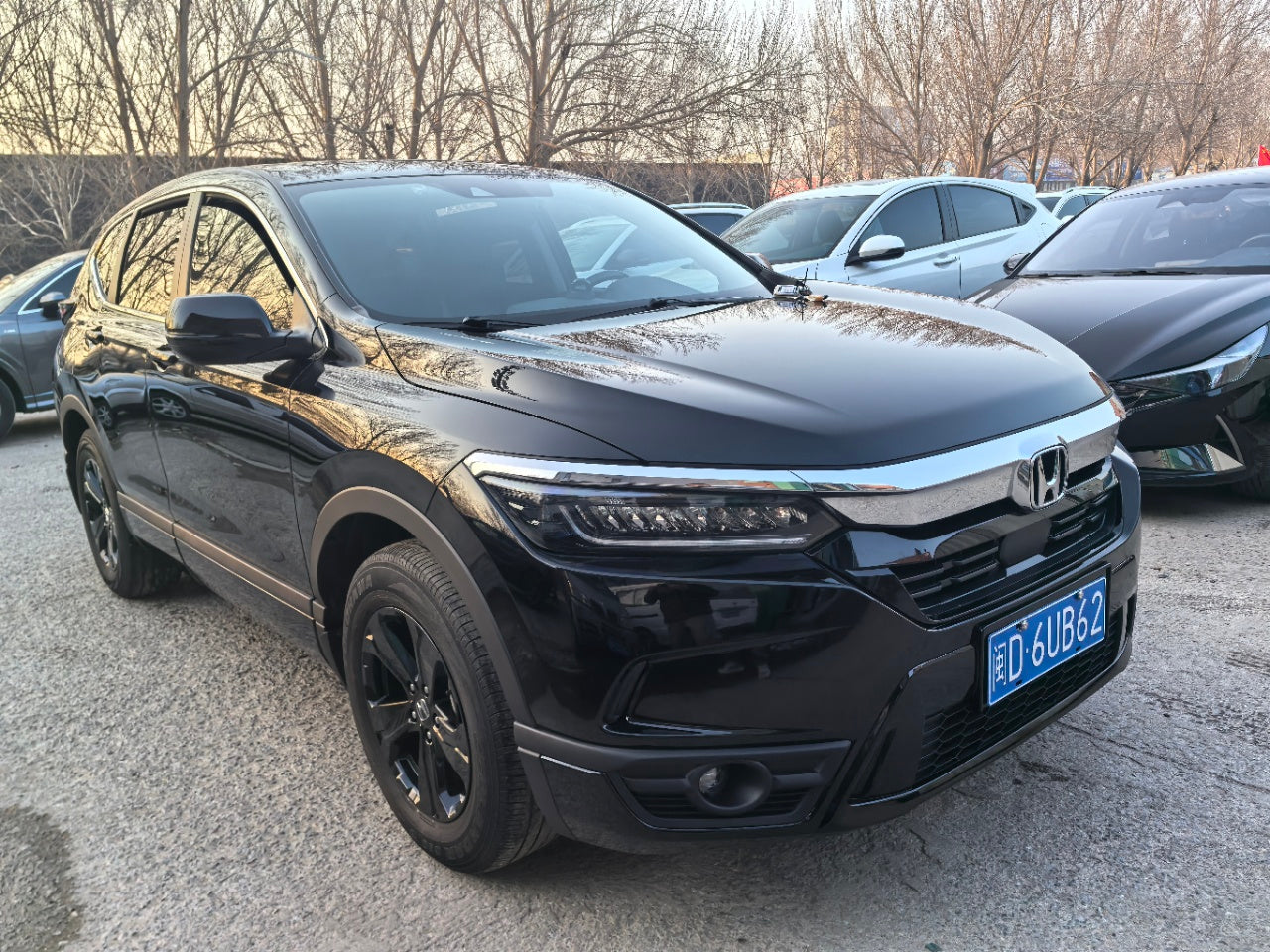 Honda CR-V 2021, вид сбоку