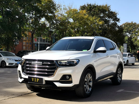 Боковой вид Haval H6 2021