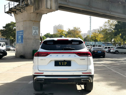 Задний вид Haval H6 2021