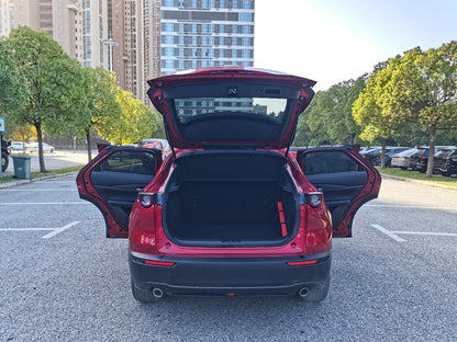 Задний вид Mazda CX-30 2021