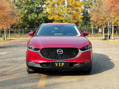 Mazda CX-30 2020 задняя часть