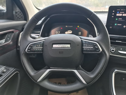 哈弗H6 2021款 国潮版 1.5T 自动冠军版