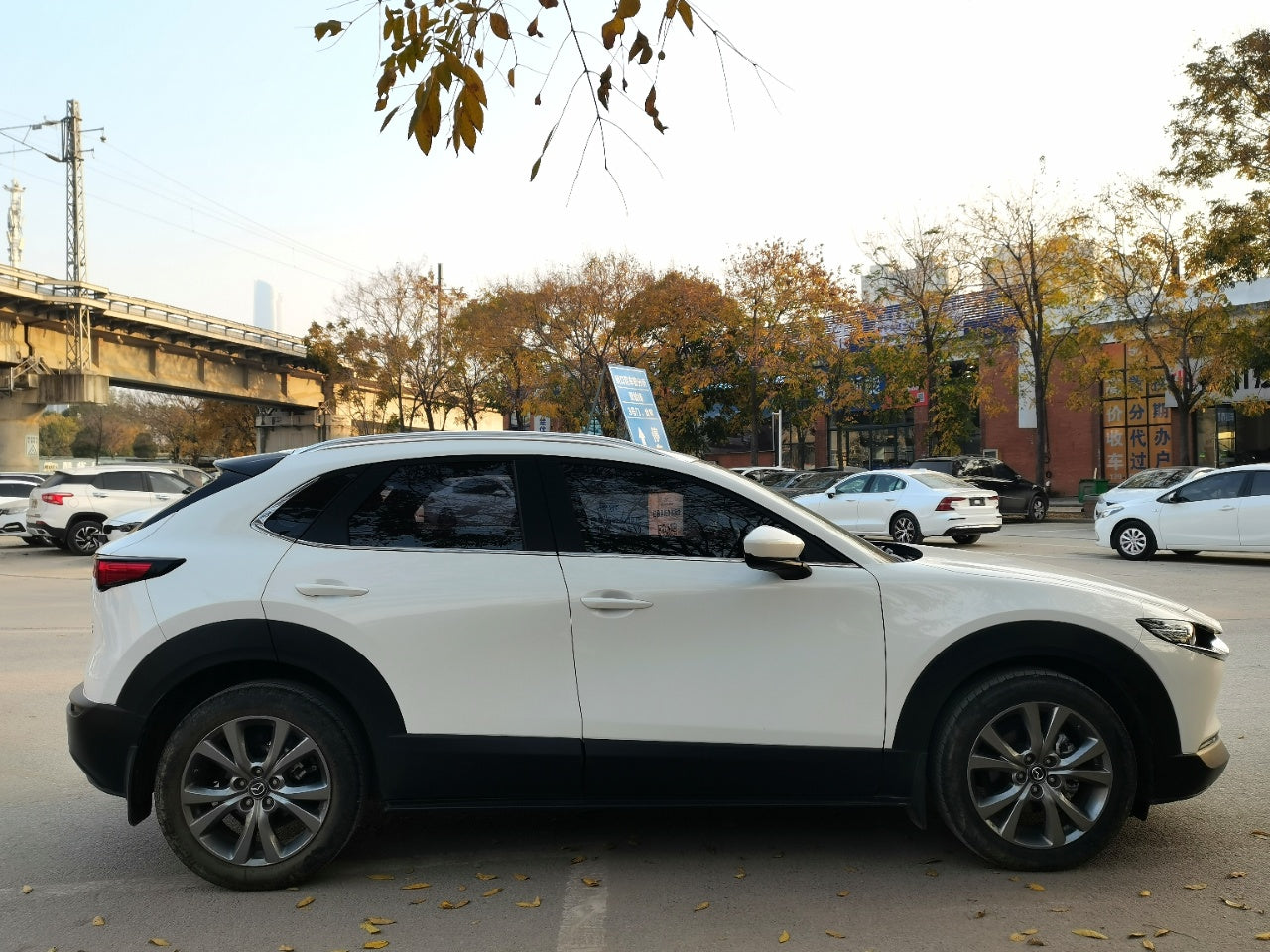 马自达CX-30 2021款 2.0L 自动嘉悦型