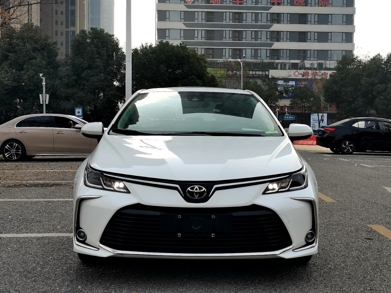 丰田 卡罗拉 2021款 1.2T S-CVT精英PLUS版